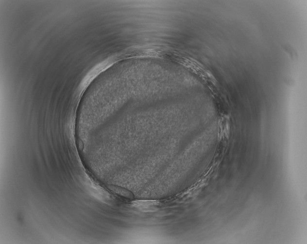 X0000111870051200908131620