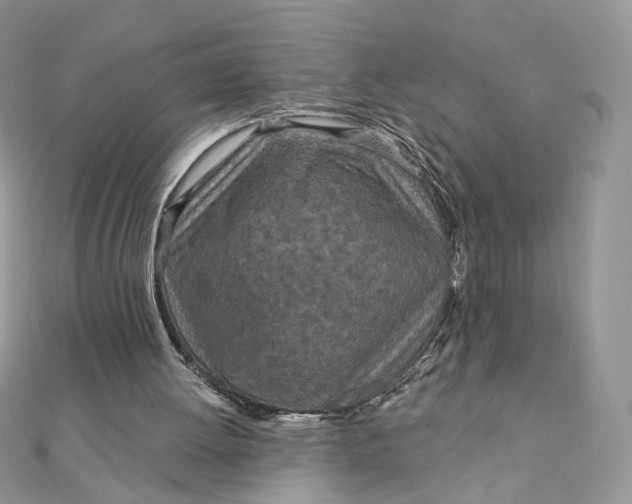 X0000111870052200908131620