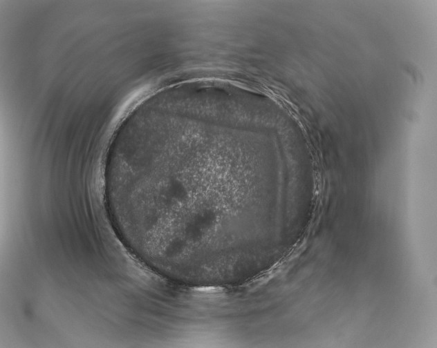 X0000111870053200908131620