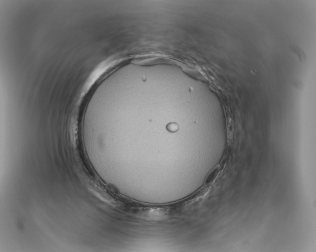 X0000111870056200908131620