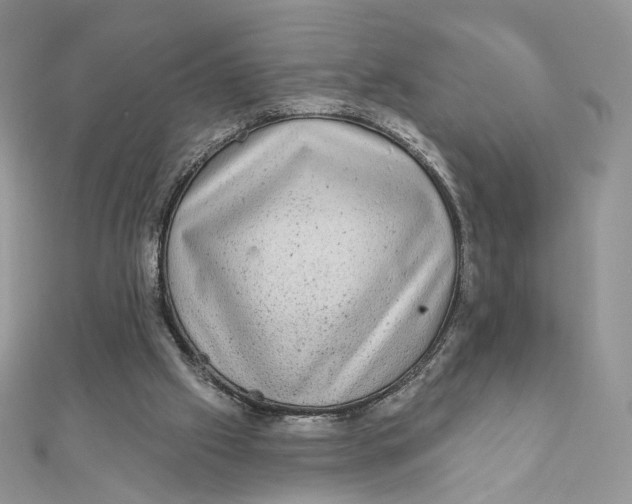 X0000111870057200908131621