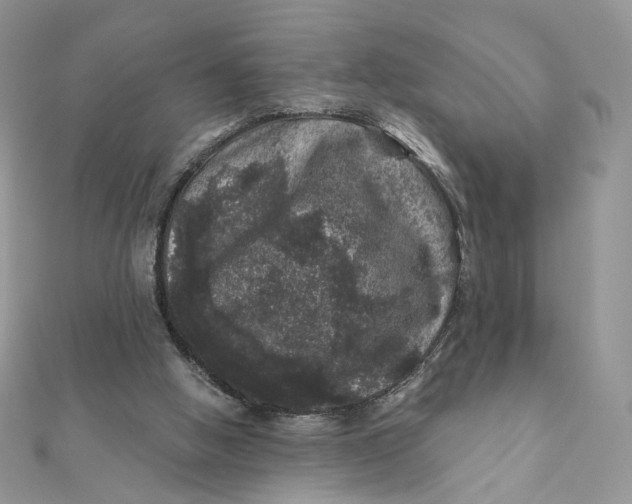 X0000111870058200908131621