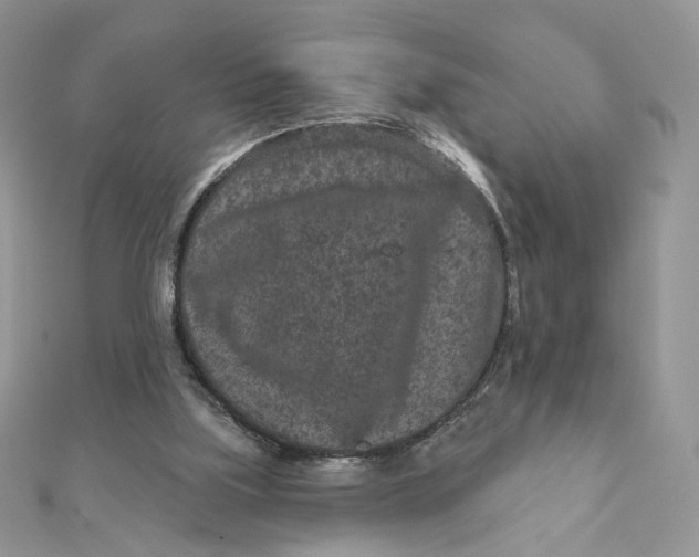 X0000111870059200908131621