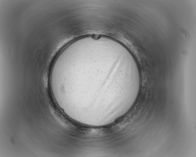 X0000111870060200908131621