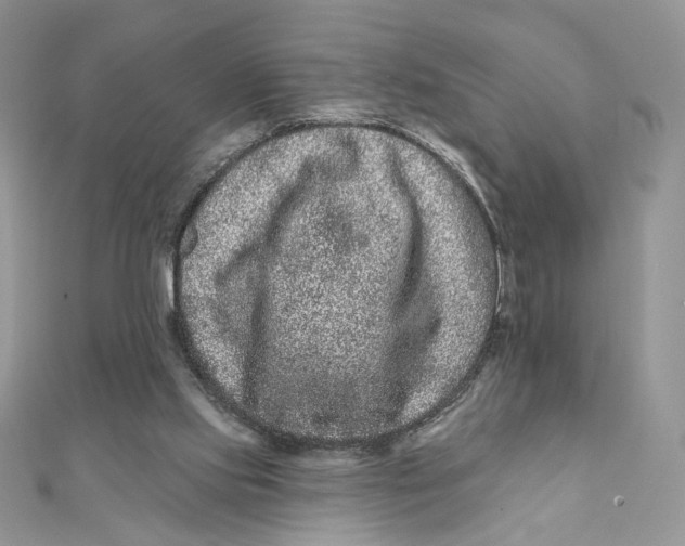 X0000111870061200908131621