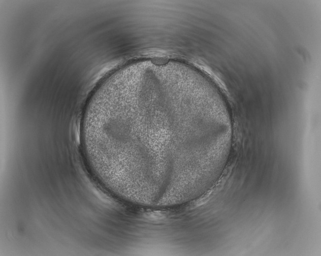 X0000111870062200908131621