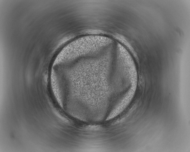 X0000111870063200908131621