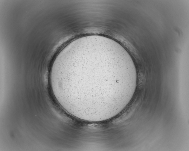 X0000111870064200908131621