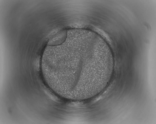 X0000111870065200908131621