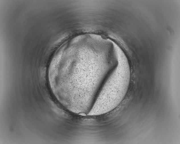 X0000111870066200908131621