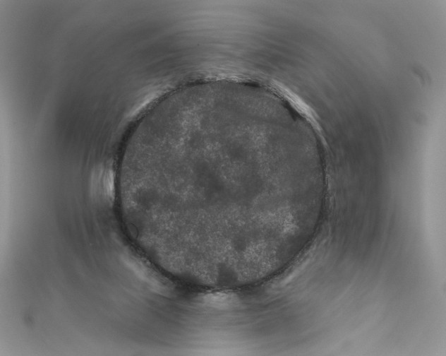 X0000111870067200908131621