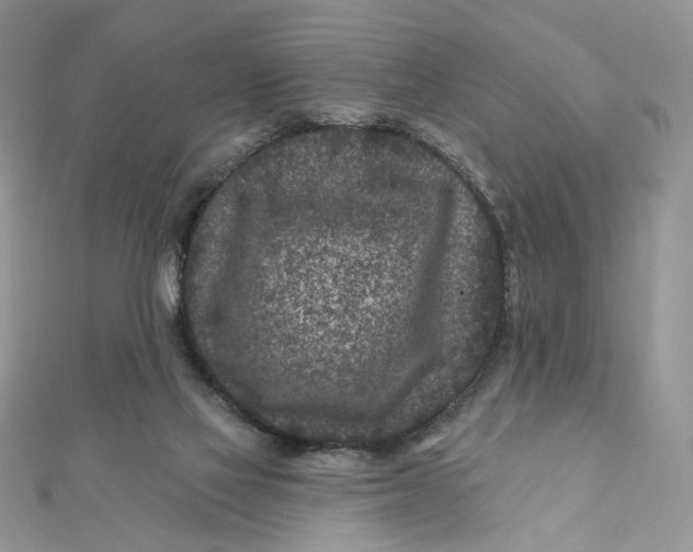 X0000111870069200908131621