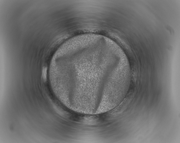 X0000111870070200908131621