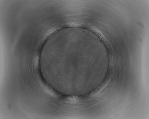 X0000111870071200908131621