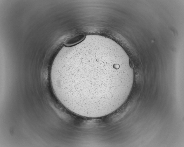 X0000111870072200908131621