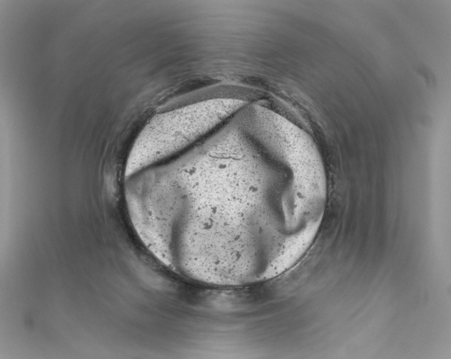 X0000111870074200908131621