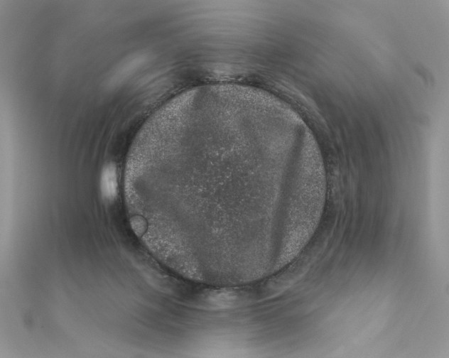 X0000111870075200908131621