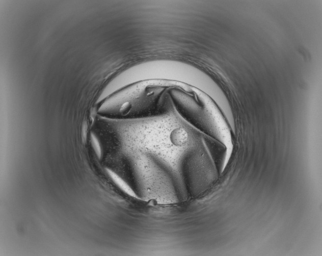 X0000111870076200908131621