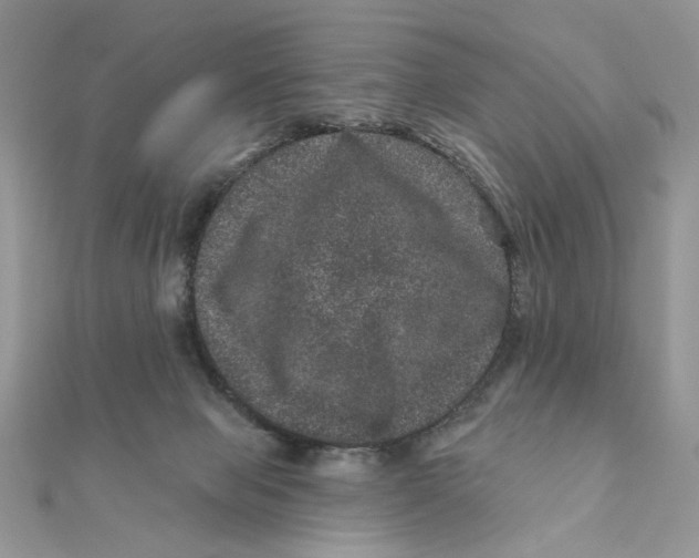 X0000111870077200908131621