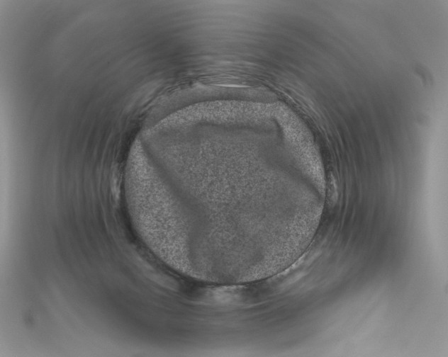 X0000111870078200908131621