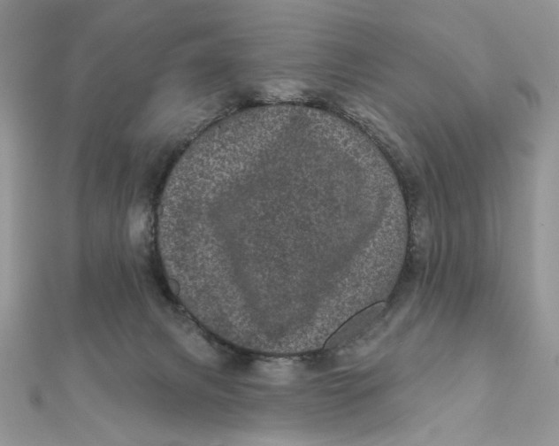 X0000111870079200908131621