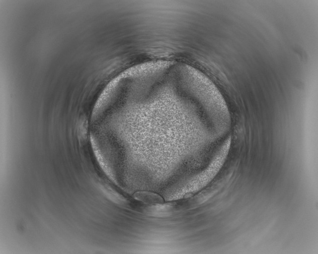 X0000111870081200908131621