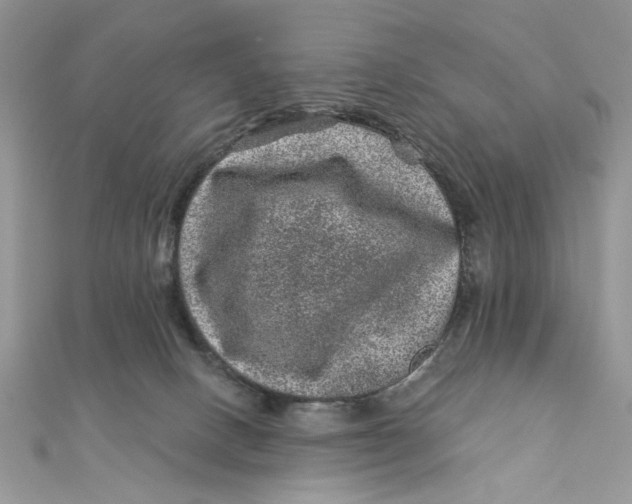 X0000111870082200908131621