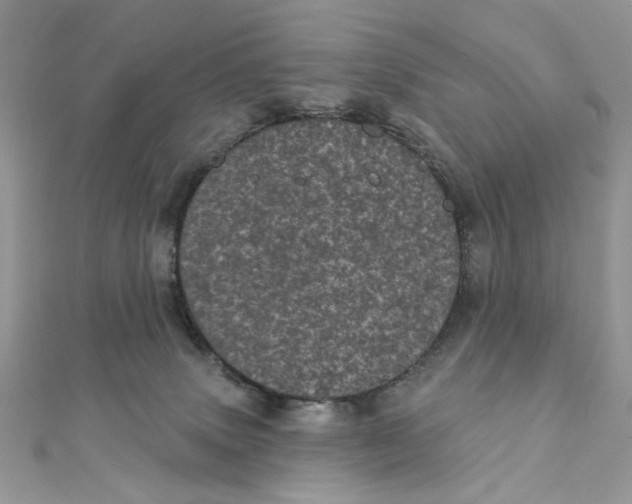 X0000111870083200908131621