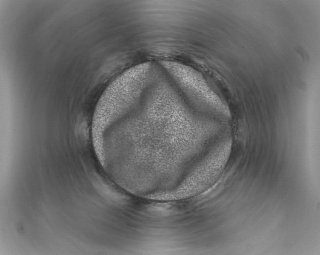 X0000111870086200908131621