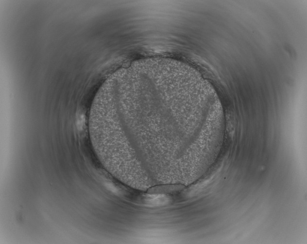 X0000111870087200908131621