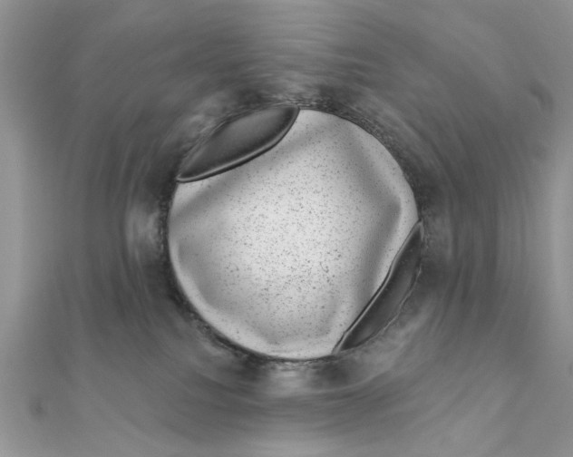 X0000111870088200908131621