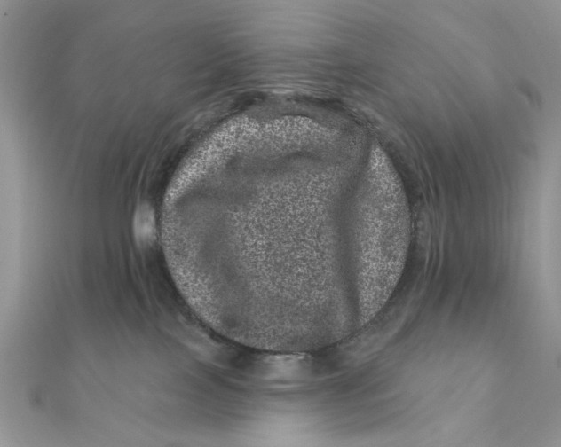 X0000111870089200908131621