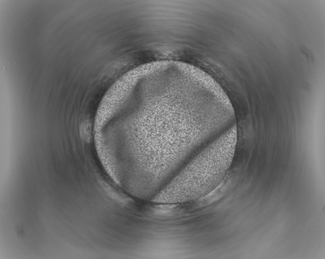 X0000111870090200908131621