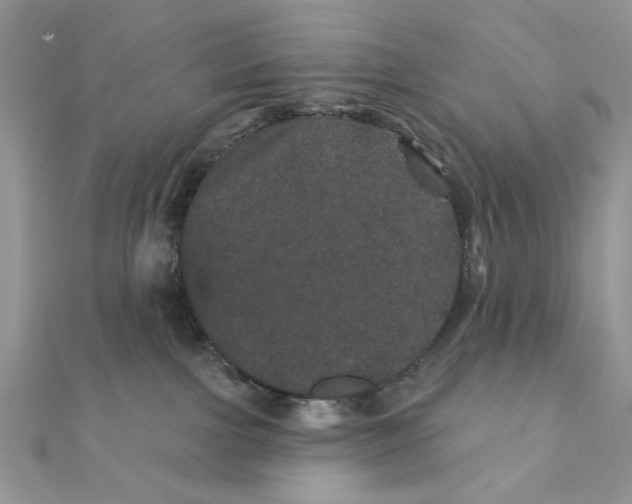 X0000111870091200908131621