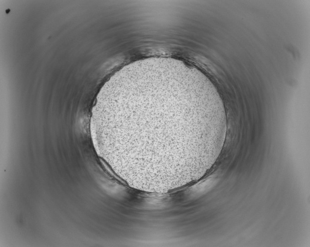 X0000111870096200908131621