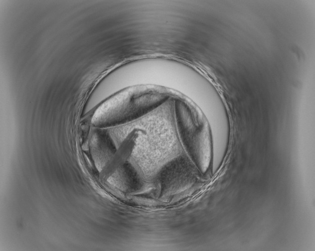 X0000111870097200908131620