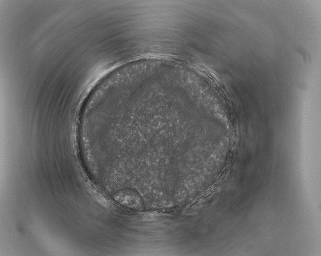 X0000111870098200908131620