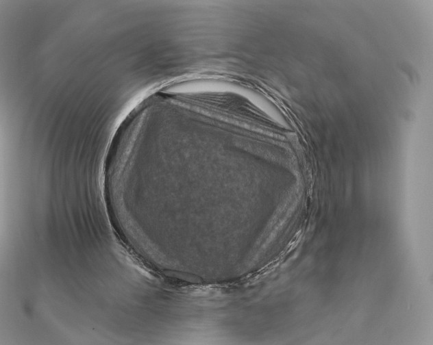 X0000111870100200908131620