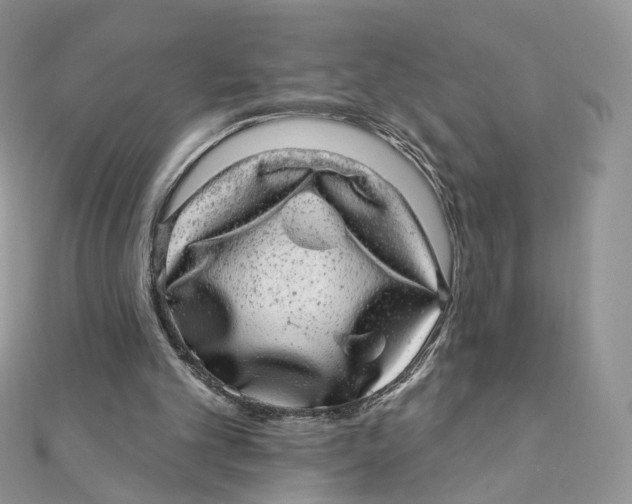 X0000111870101200908131620