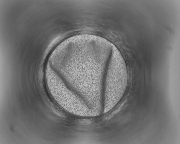 X0000111870102200908131620