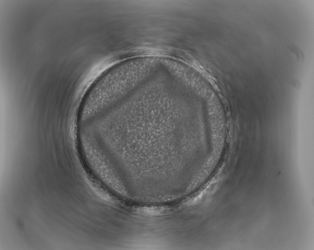 X0000111870103200908131620