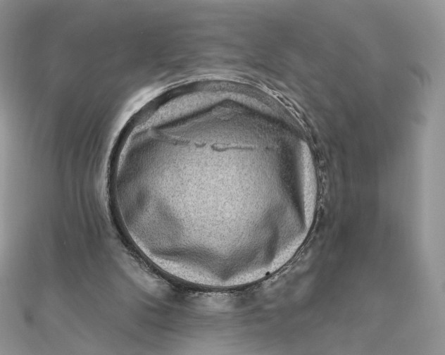 X0000111870104200908131620