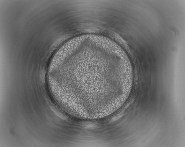 X0000111870106200908131620