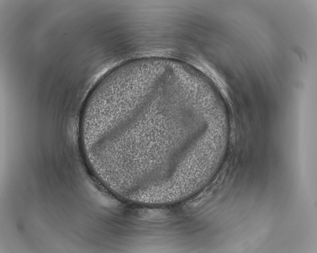 X0000111870107200908131620