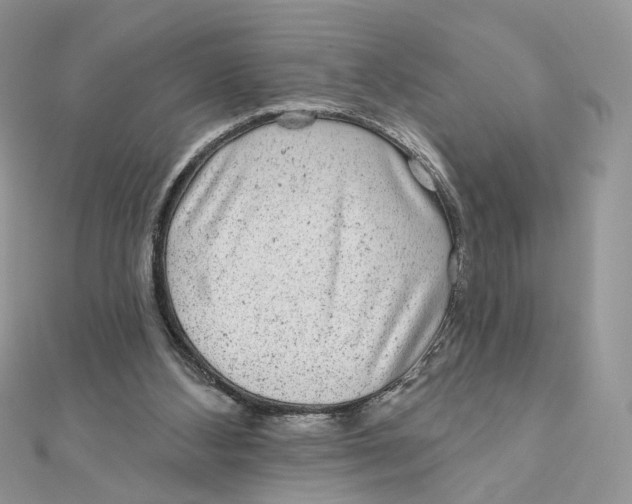 X0000111870108200908131620