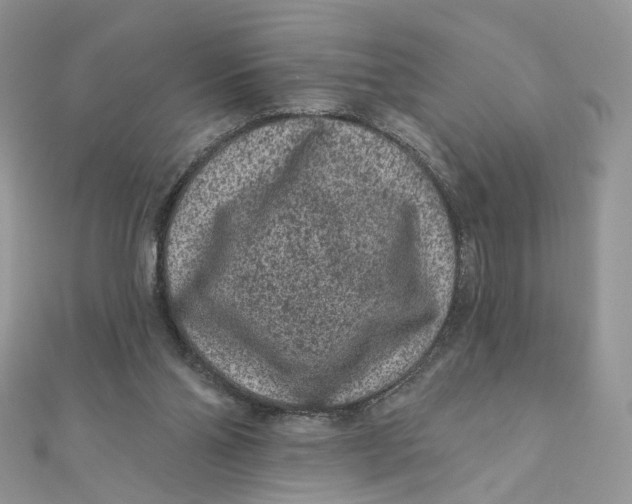 X0000111870110200908131620