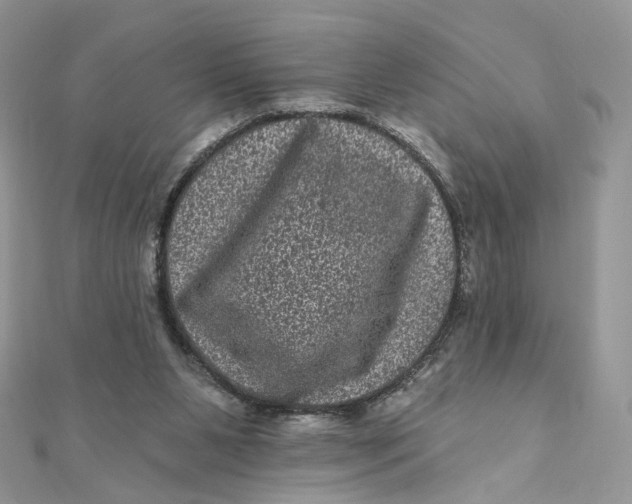 X0000111870111200908131620