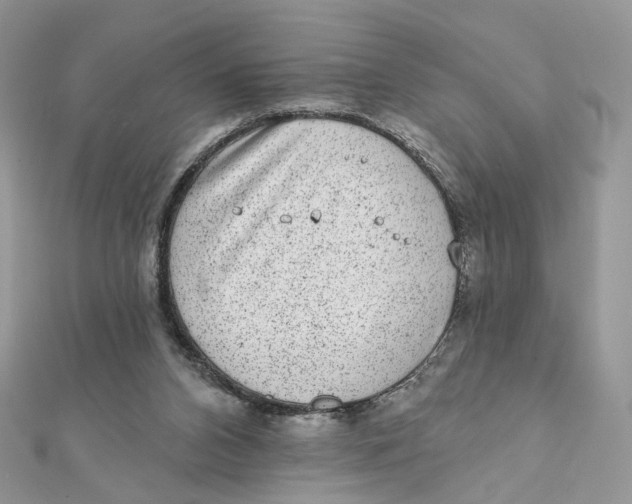 X0000111870112200908131620