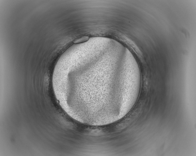 X0000111870113200908131620