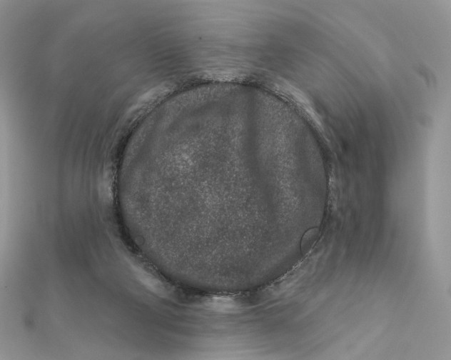 X0000111870114200908131620